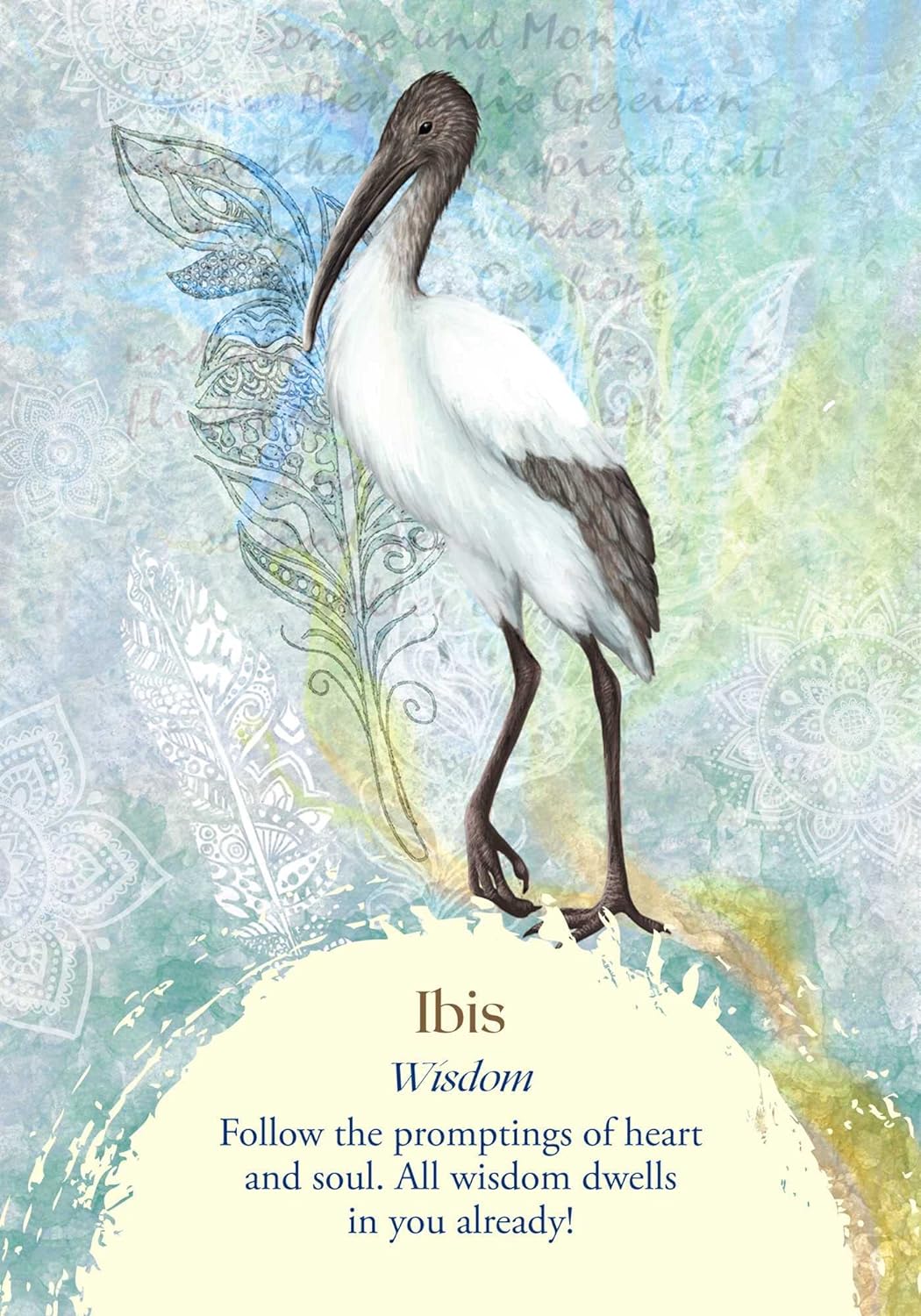 Oracle of the Birds Cards